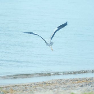 トップに移動