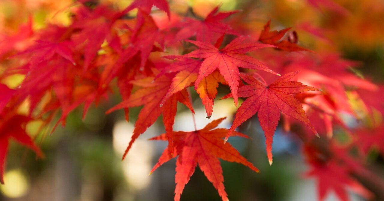 ミッチ・アルボム」の新着タグ記事一覧｜note ――つくる、つながる、とどける。