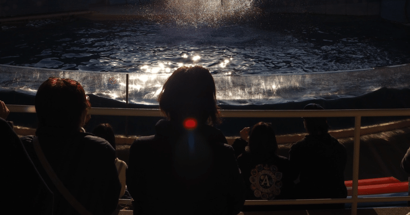 トドになって水族館のショーに出る