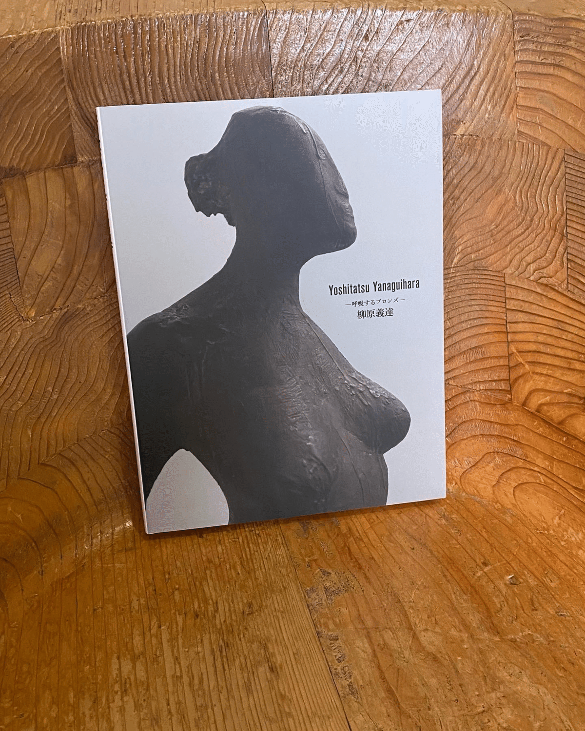 銅板レリーフ　柳原義達作　飛ぶ　裸婦画　RYUJI.M刻印　2点　N　6548 図録背負って鈴鹿グランプリ】三重県立美術館 別館 柳原義達記念館｜薪