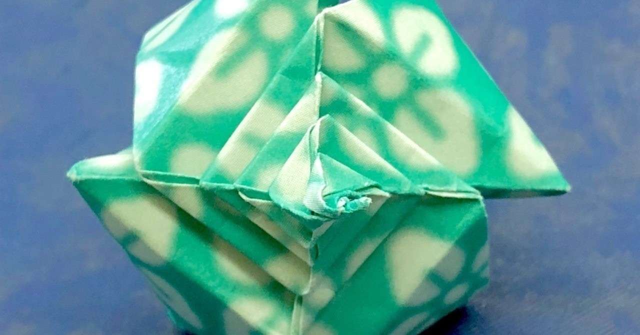 折り紙のからの生物トーク 貝類から広がる 退化 と 進化 のおはなし まさにぃ Note