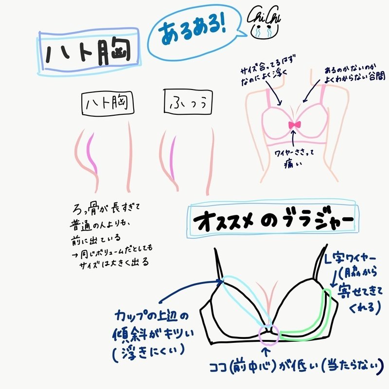 ハト胸の人に谷間ができない理由 ミニちーちょろす Note ハト胸の人に谷間ができない理由 ミニちーちょろす Note