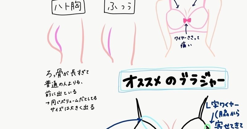 ハト胸の人に谷間ができない理由 ミニちーちょろす Note