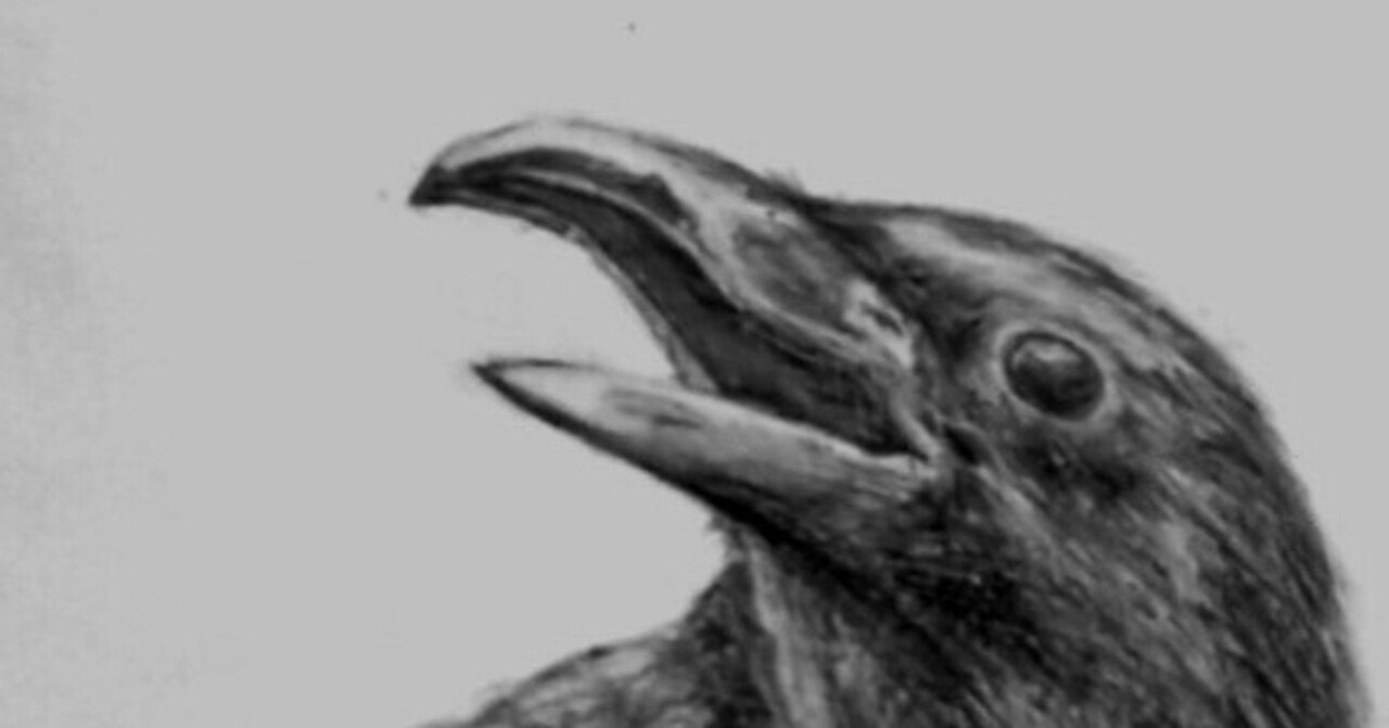 カラス』鉛筆画｜せきぞう、