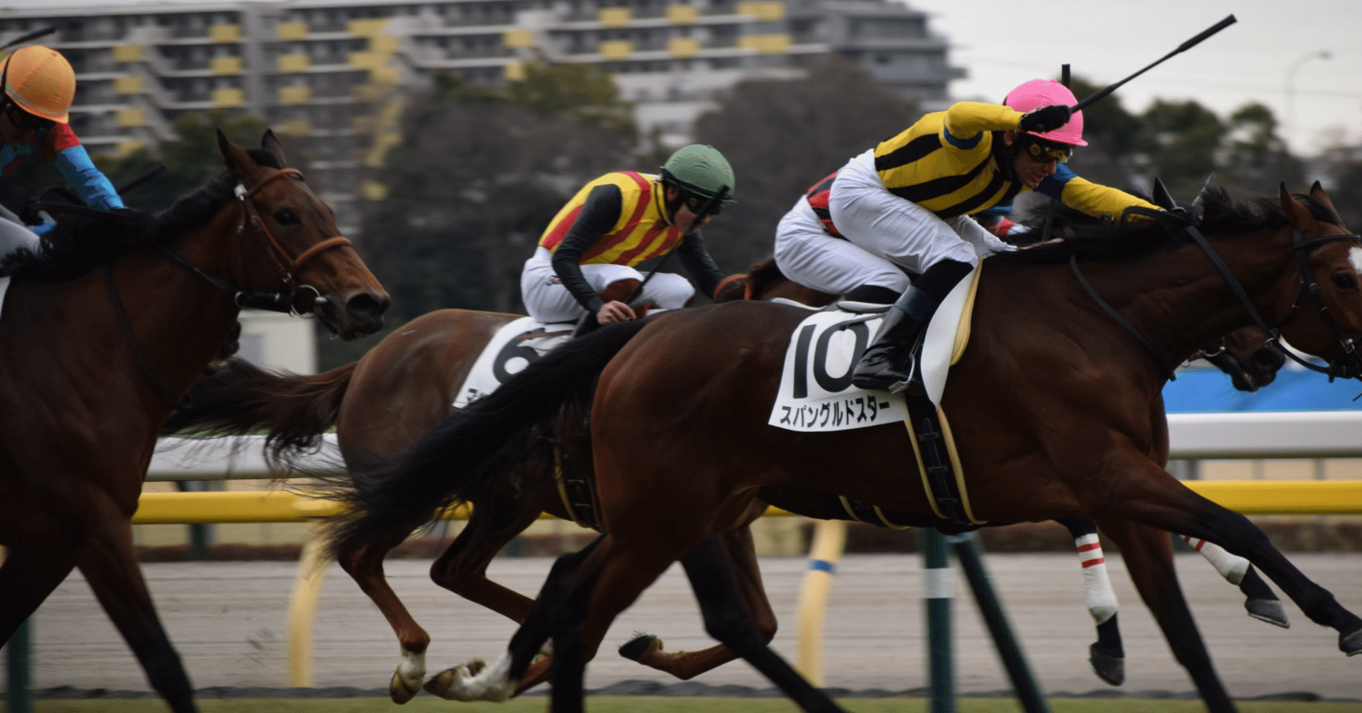 競馬 鞭 競馬用 鞭