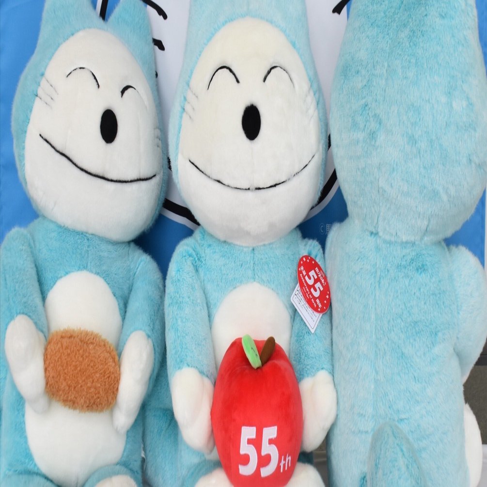 青森県三戸町］「11ぴきのねこ」のまちづくり2022｜ふるさと納税の