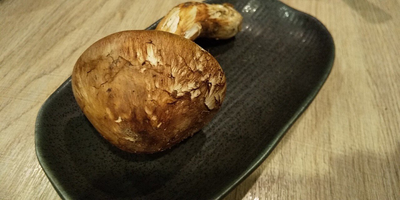 松茸を頂きました いや ホンモノじゃなくて本物 の松茸ですよ 笑 せっかくだから写真を撮ろうと 360度ぐるぐる回して観察しているうちに のことを 松茸 と称した人たちの気持ち が よーーーーーく 理 さくら Note