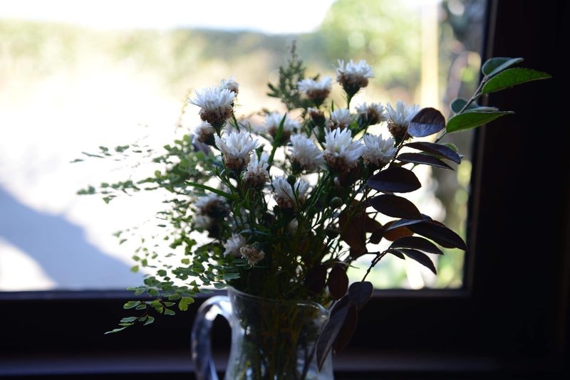 窓際の花瓶を撮る Natsuko Note 窓際の花瓶を撮る Natsuko Note