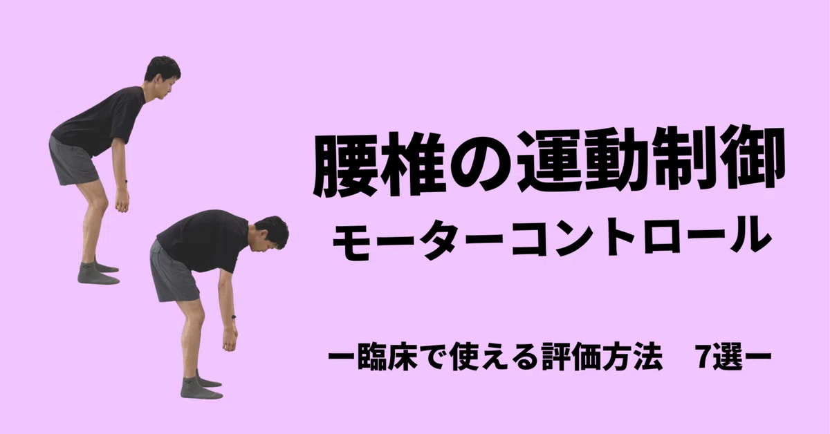 腰椎モーターコントロール-評価方法7選-|小林龍樹@理学療法士 腰椎モーターコントロール-評価方法7選-|小林龍樹@理学療法士