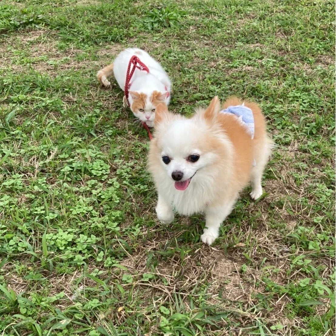画像1