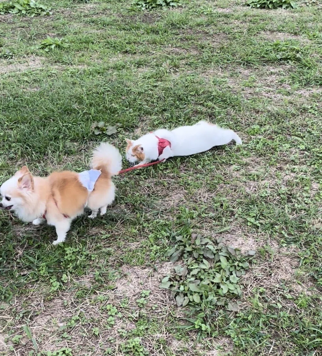 画像2