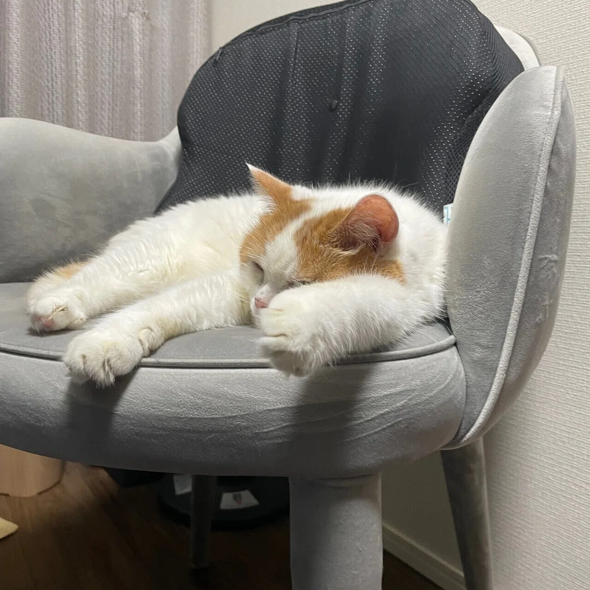 画像3