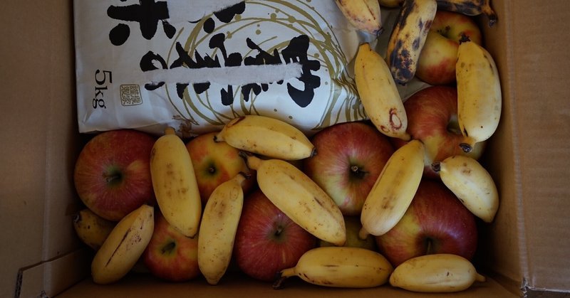 島バナナ|note 島バナナ|note