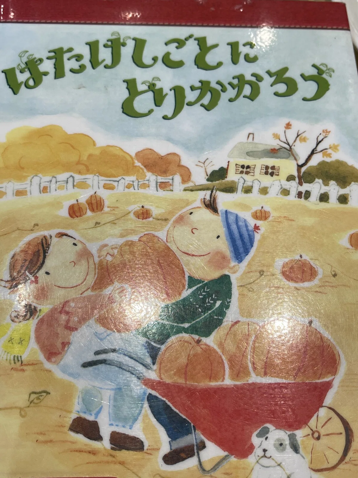 画像1