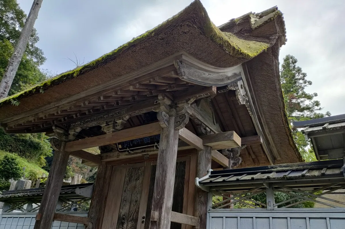 画像4