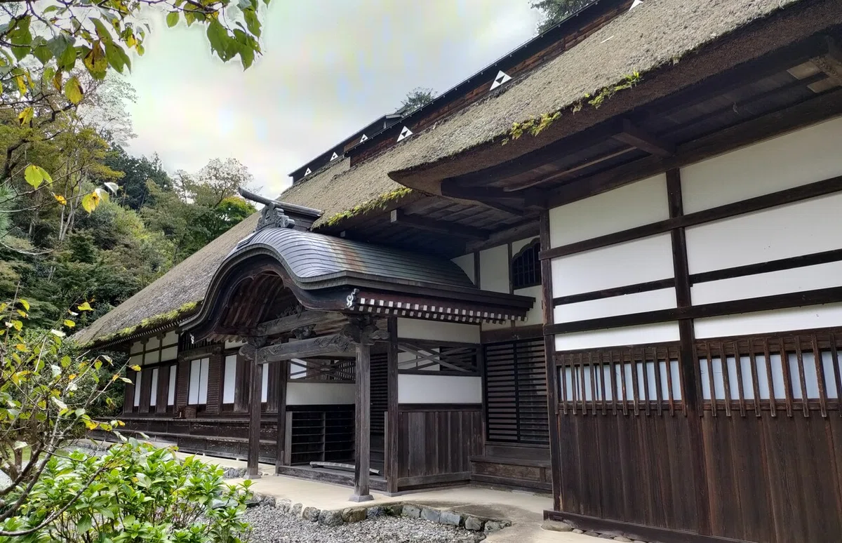 画像5