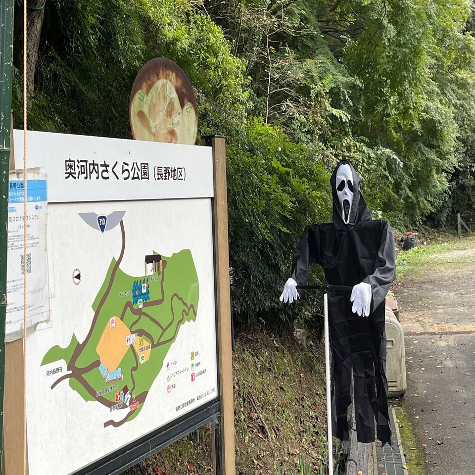 公園の 山の緑に ハロウィン お化けの飾り 自然と一致 南 奥河内から情報発信 フォロバ100 相互フォロー歓迎 毎日更新 彡 Note