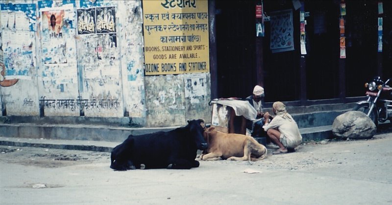 昭和の小学生、ネパールに行く(3)_Nepal in 1979　ポカラへ