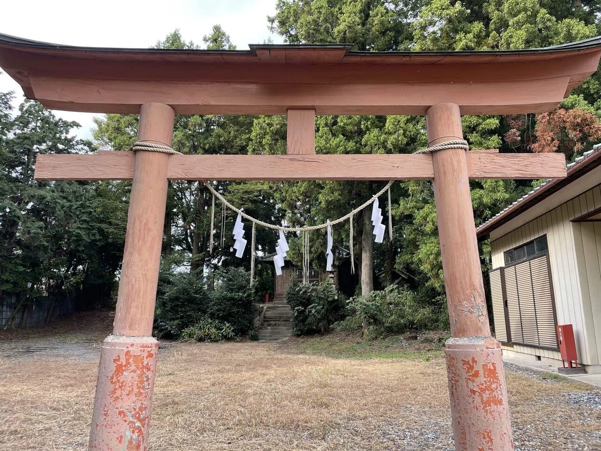 画像
