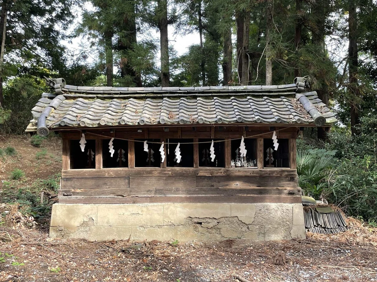 画像