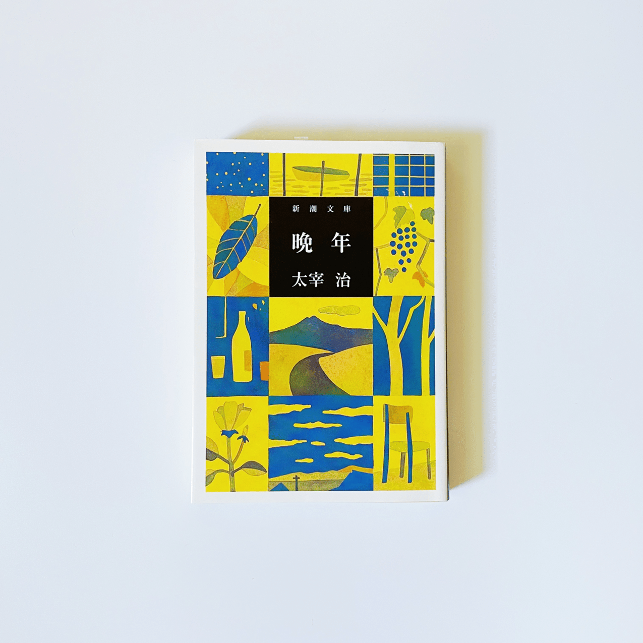 1 太宰治全部読む ｜一作目にして晩年｜むささび｜インテリア