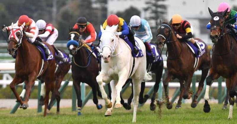 10/23（日）🐴厳選勝負レース🐴 

・東京11R 【自信度S】ブラジルカップ
・阪神12R 【自信度S】天王寺ステークス
・東京12R 【自信度S】3歳以上2勝クラス

😎厳選3鞍勝負だ😎