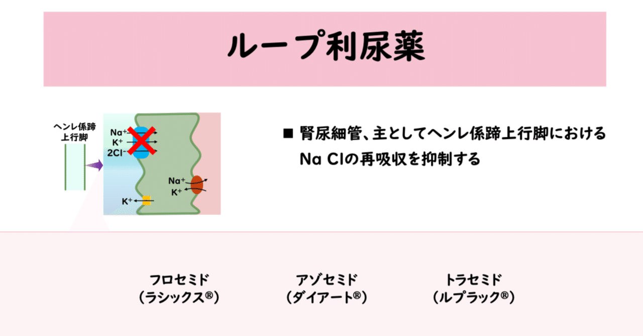 利尿作用のある食べ物