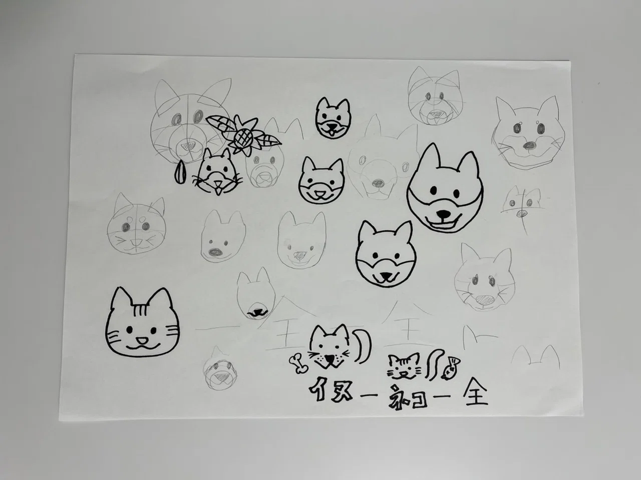 オリジナルグッズの作成と近況報告🐶🌈🐱｜高木真備（たかぎまきび）