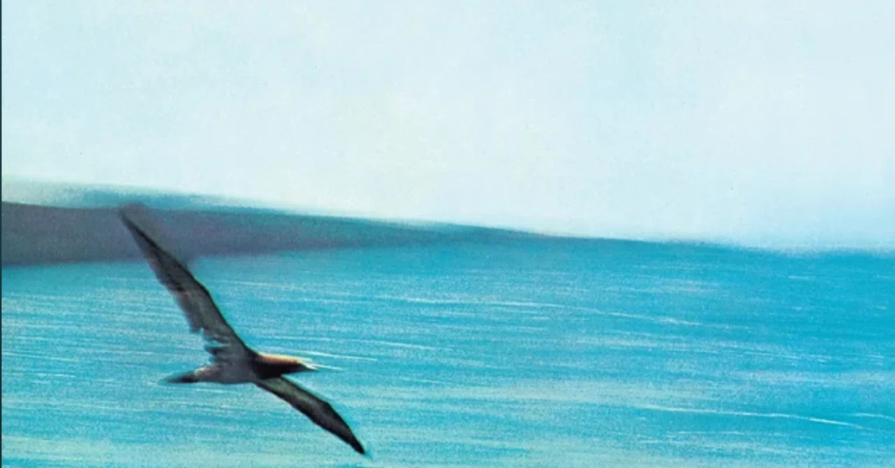 1974年Chick Corea & Return To Forever パンフ