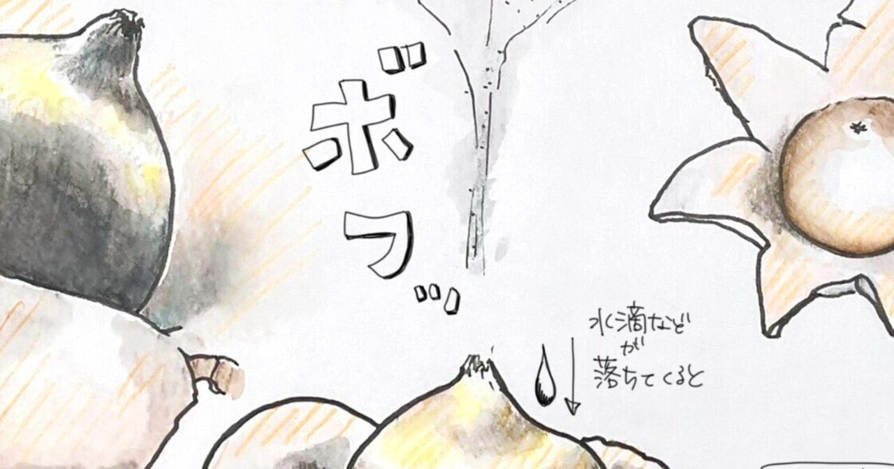 つきのこ 投稿詳細｜MOTOCLE