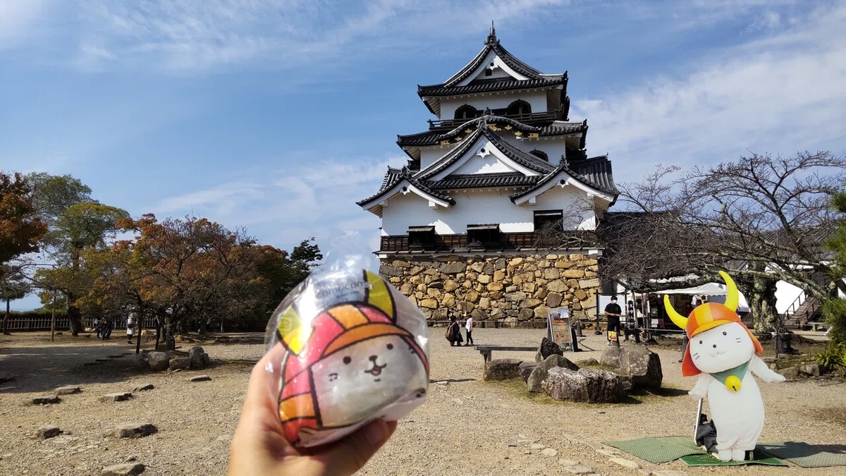 画像4