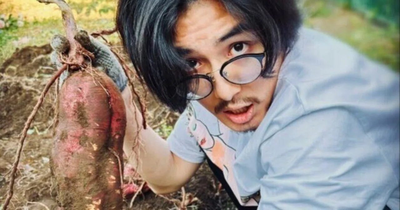 藤井風】風民か、カゼタリアンか。ファンの在り方について思うこと