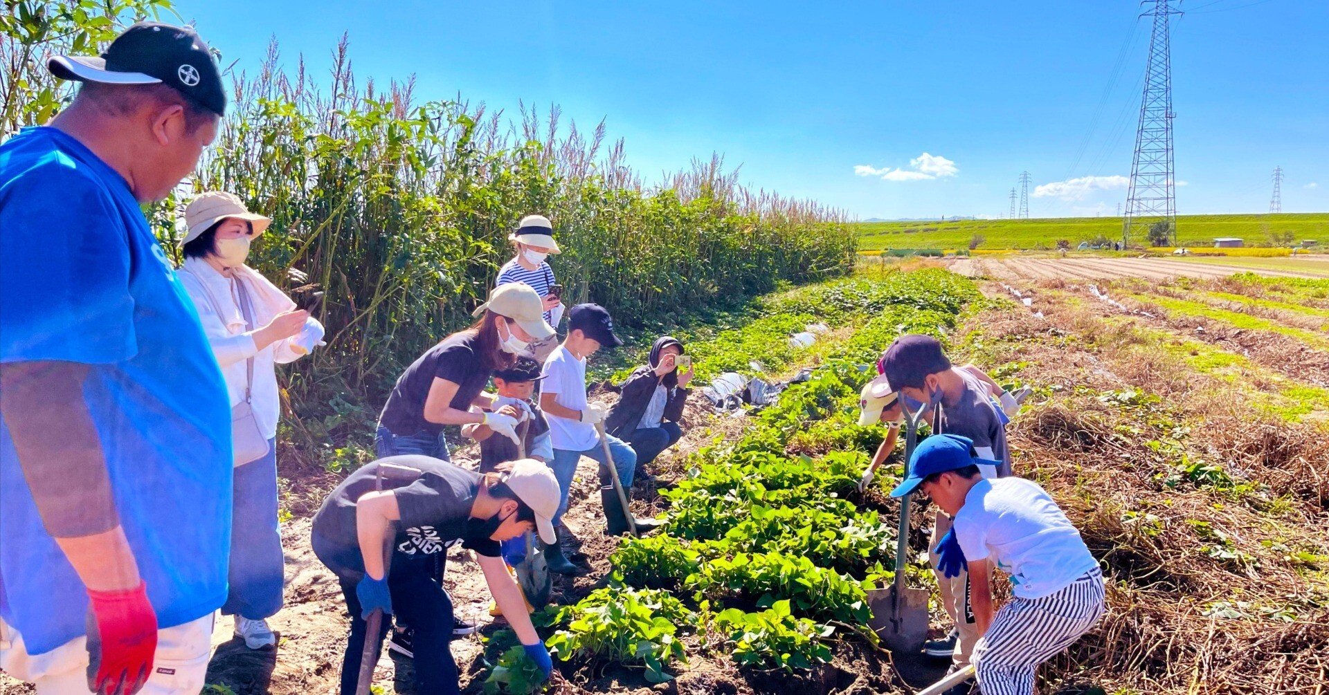 8413286e4606ad51472935ed362673