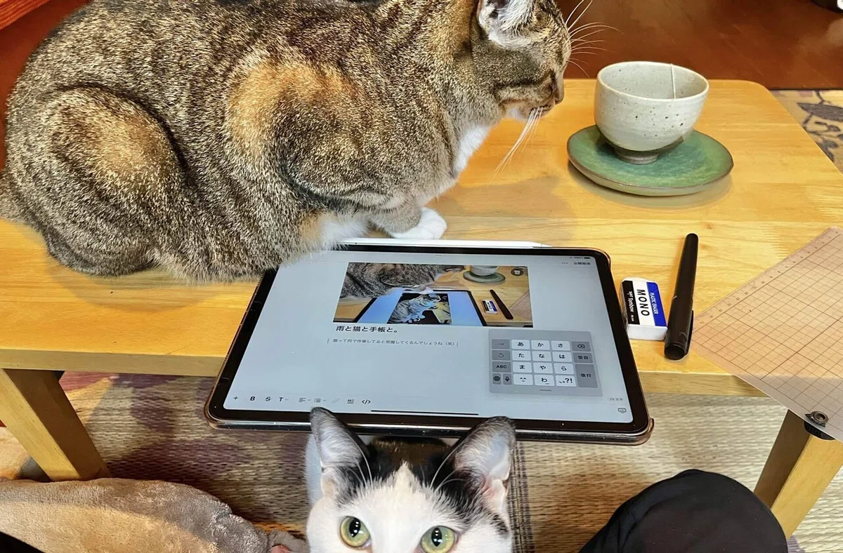 画像