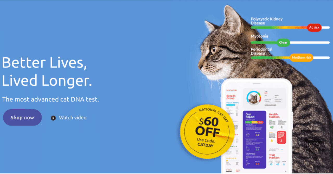 猫様🐱専用DNA検査キット🧬basepaws - サムライくんレポート