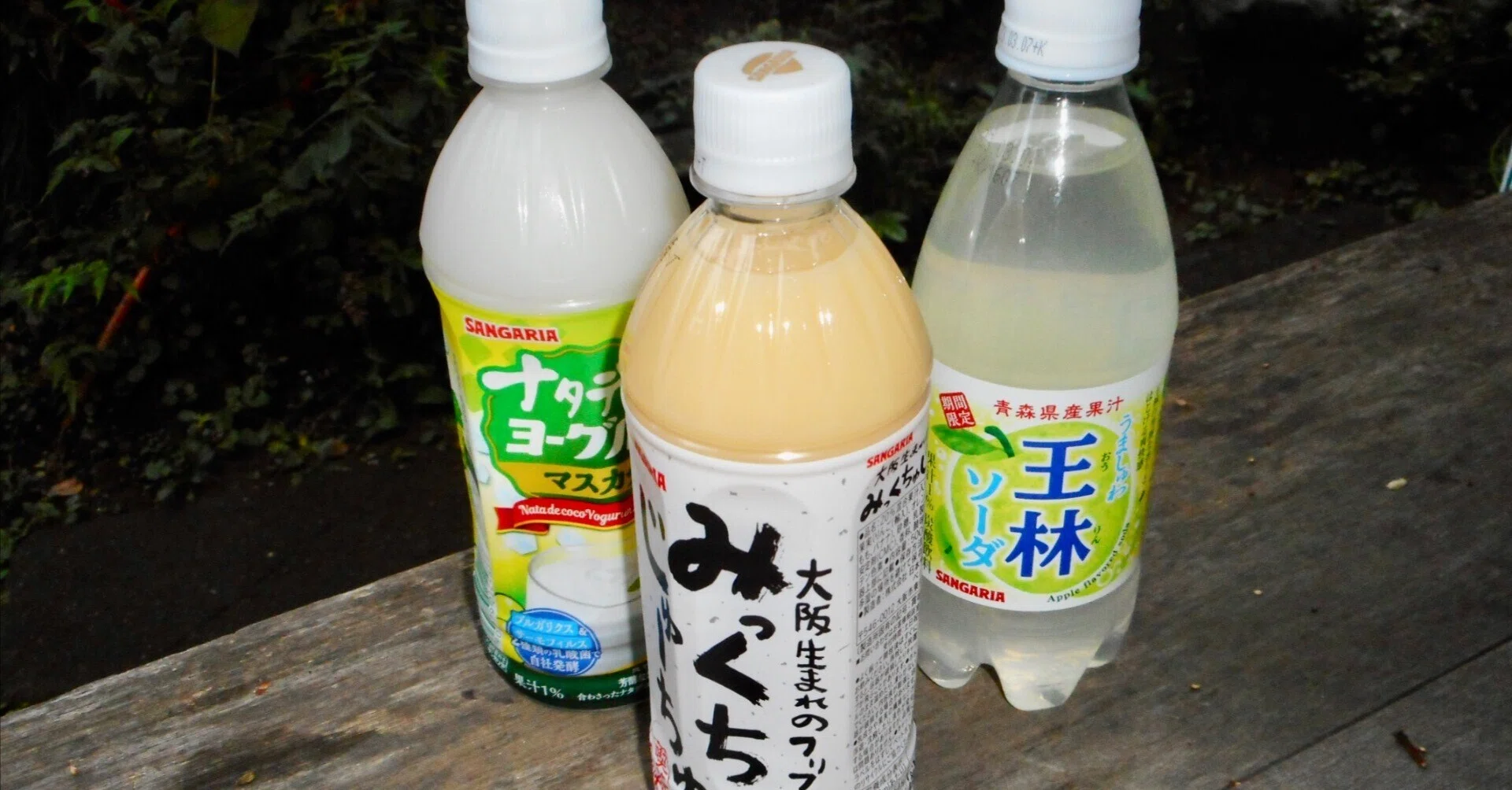 活動歴および当時の関連ビジュアル記録