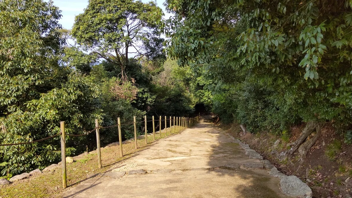 画像10