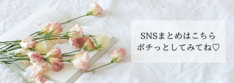 SNSまとめリンク