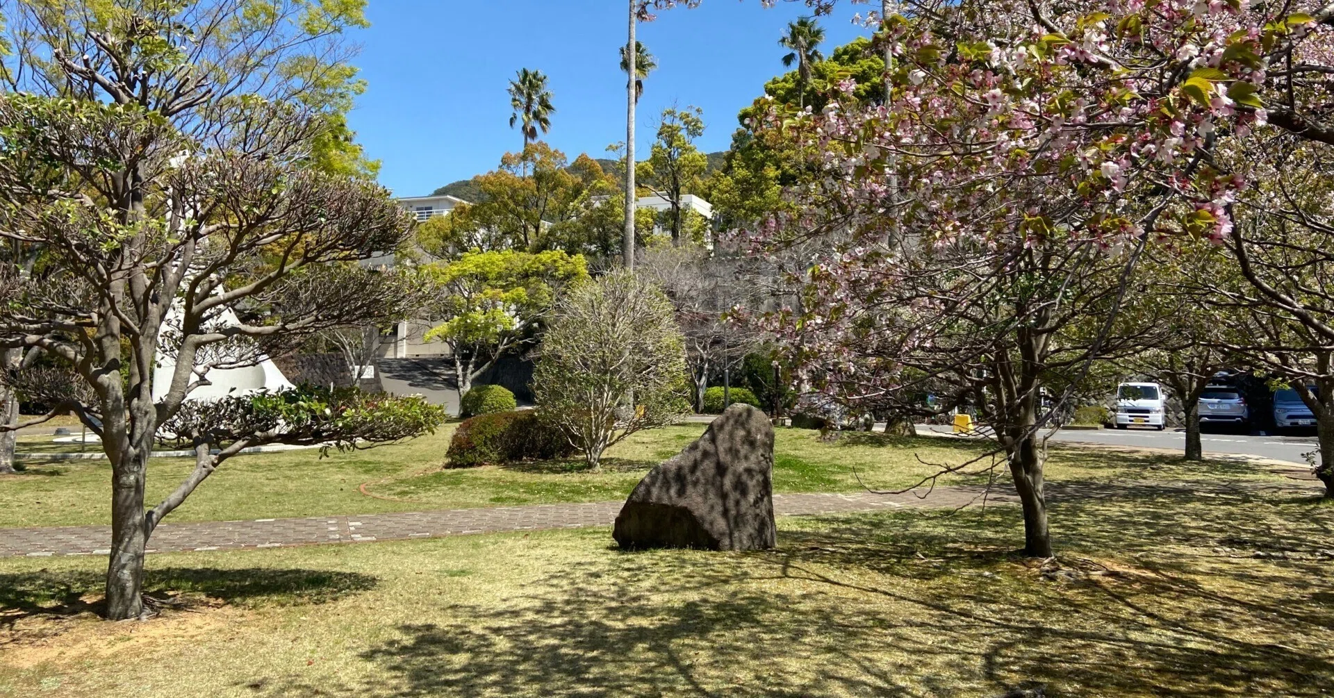 医学部学士編入】長崎大得点開示｜くま太郎