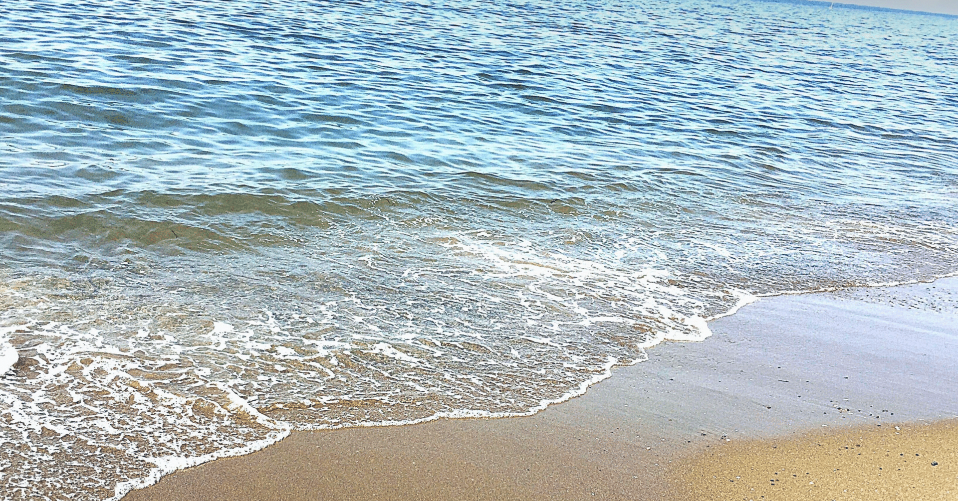 現代俳句 作品集 ２７ 波打ち際 Kusabue 現代俳句 Note