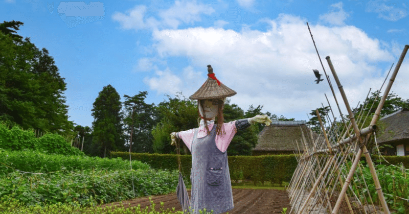 さだまさし「案山子」を聴いて涙して｜早乙女彩