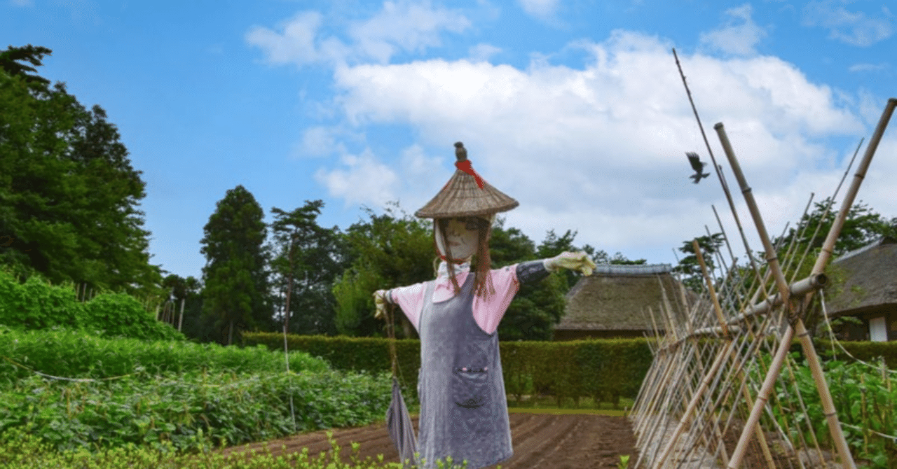 案山子 s-200708031432351055.jpg