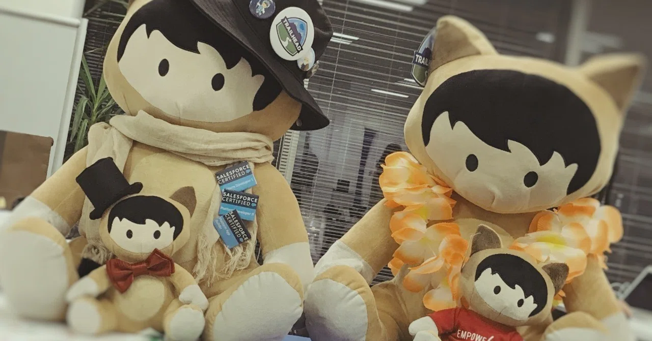 salesforce セールスフォース trailhead ぬいぐるみ 【公式通販】