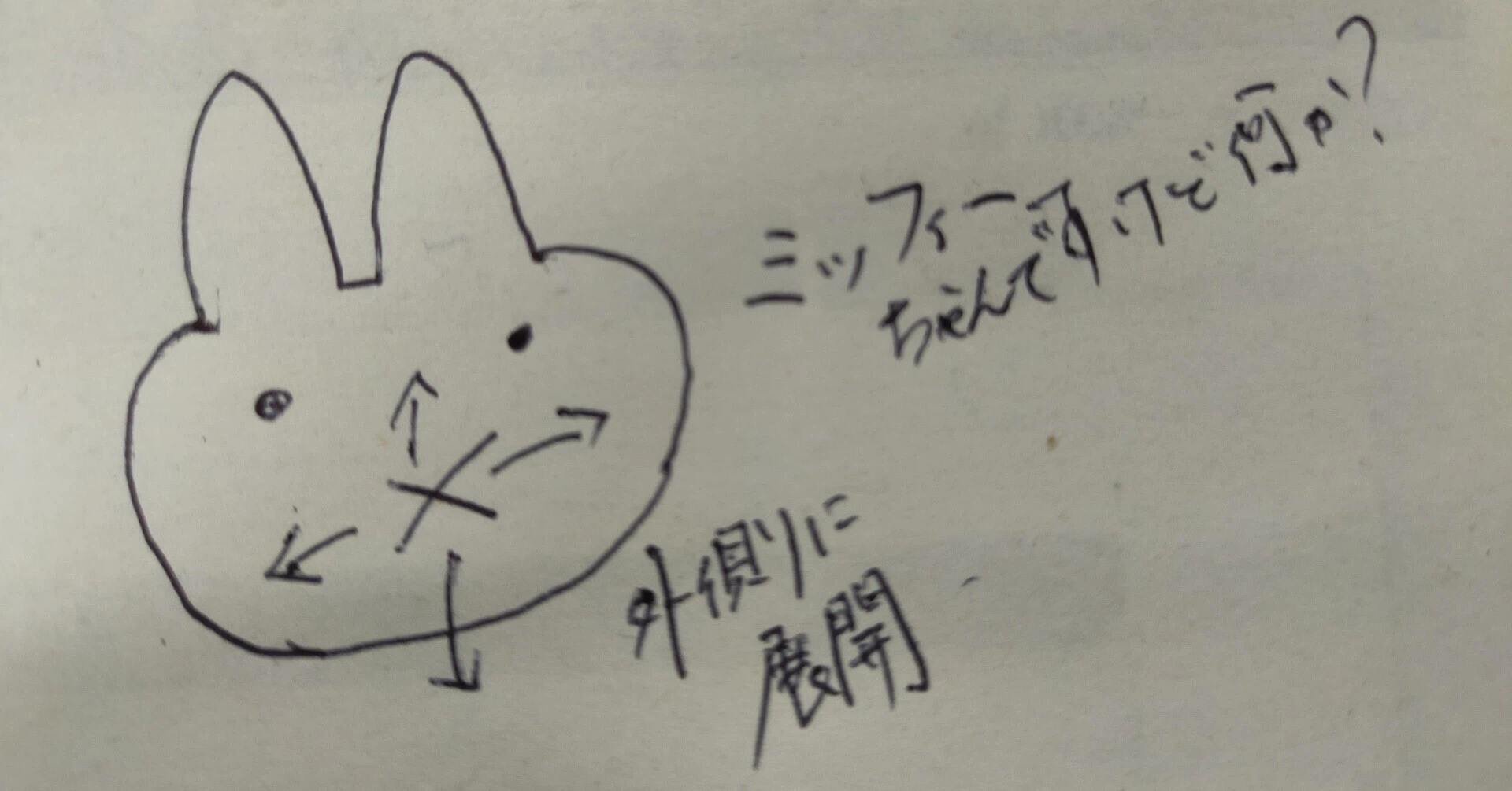 活動歴および当時の関連ビジュアル記録