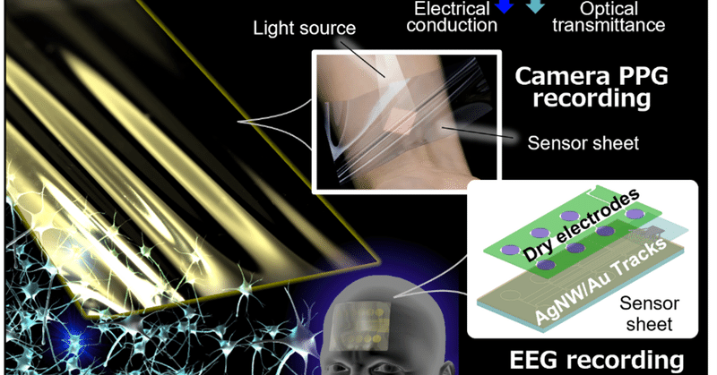 肌に優しい多機能･高性能な生体ドライ電極技術を開発！Araki,...,Sekitani et al., Advanced Materials Technologies 2022.