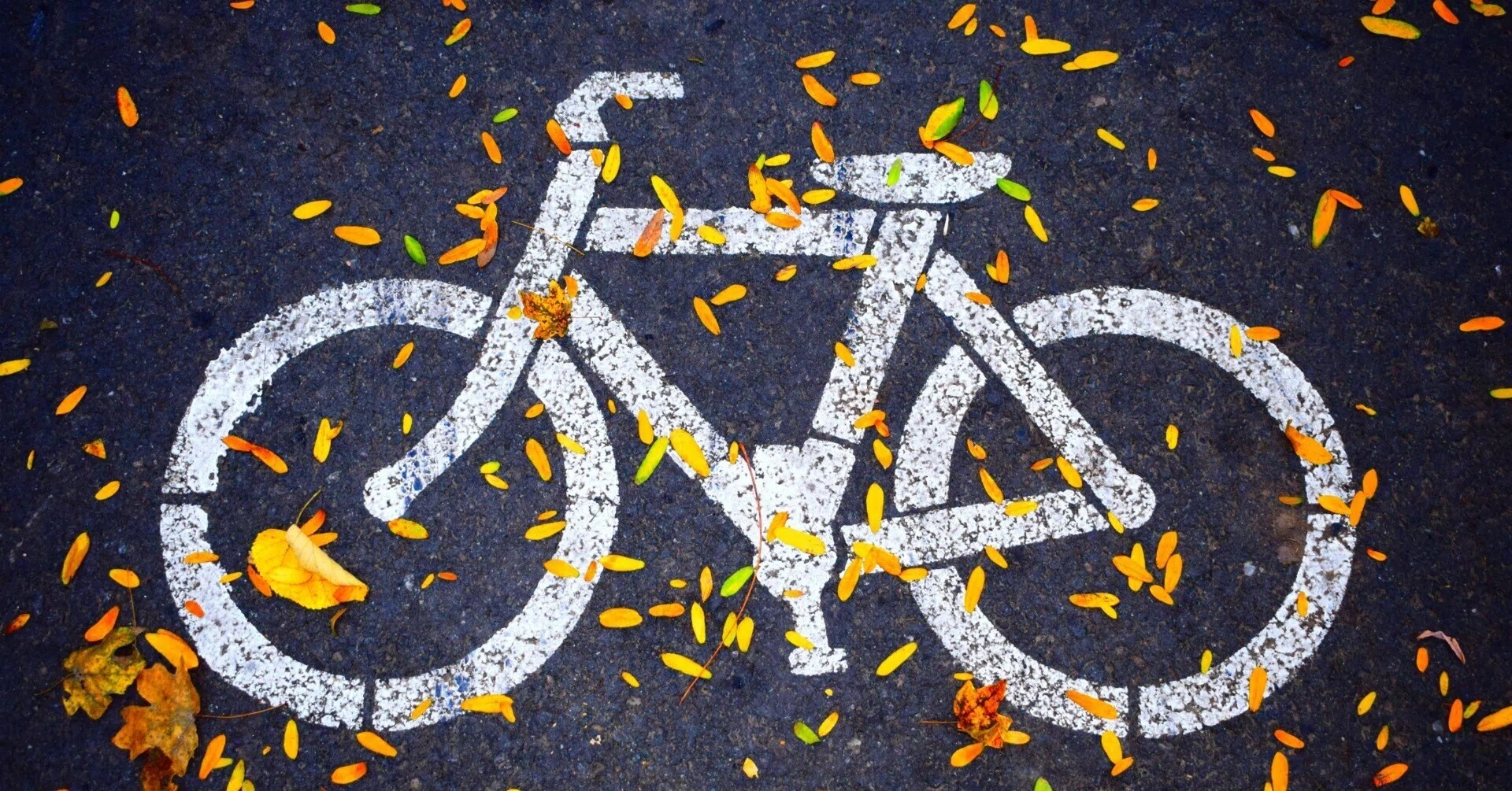 オランダの自転車ルール｜Sunnysideup🇬🇧
