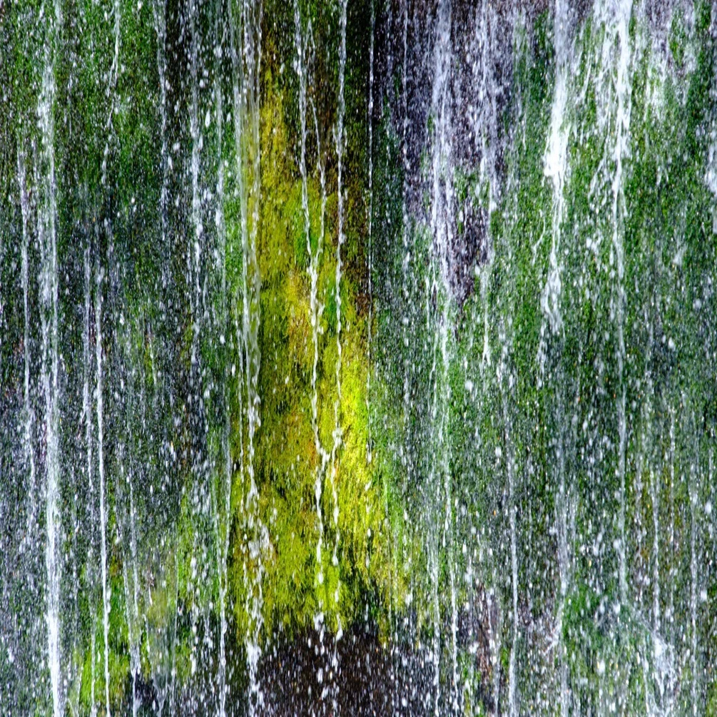 2023年4月～5月、地元の写真家たちが主導する新しいフォト