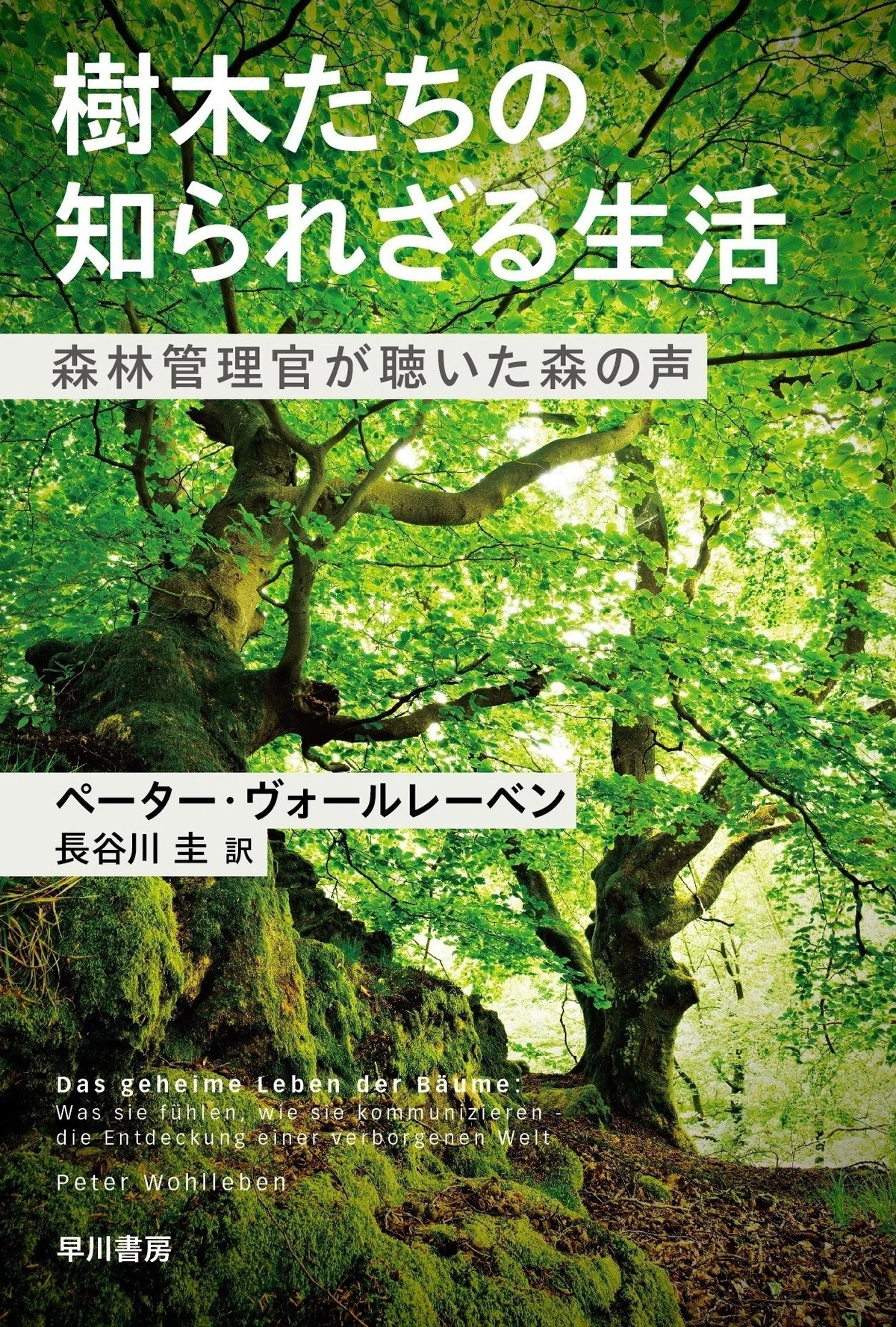 樹木たちは見えないところで友情と愛情を育んでいる？ しかも親密さで 