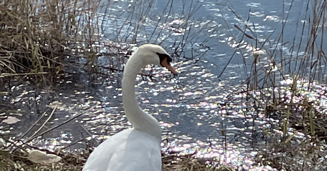 おとこの頭痛|新谷 勝先|note