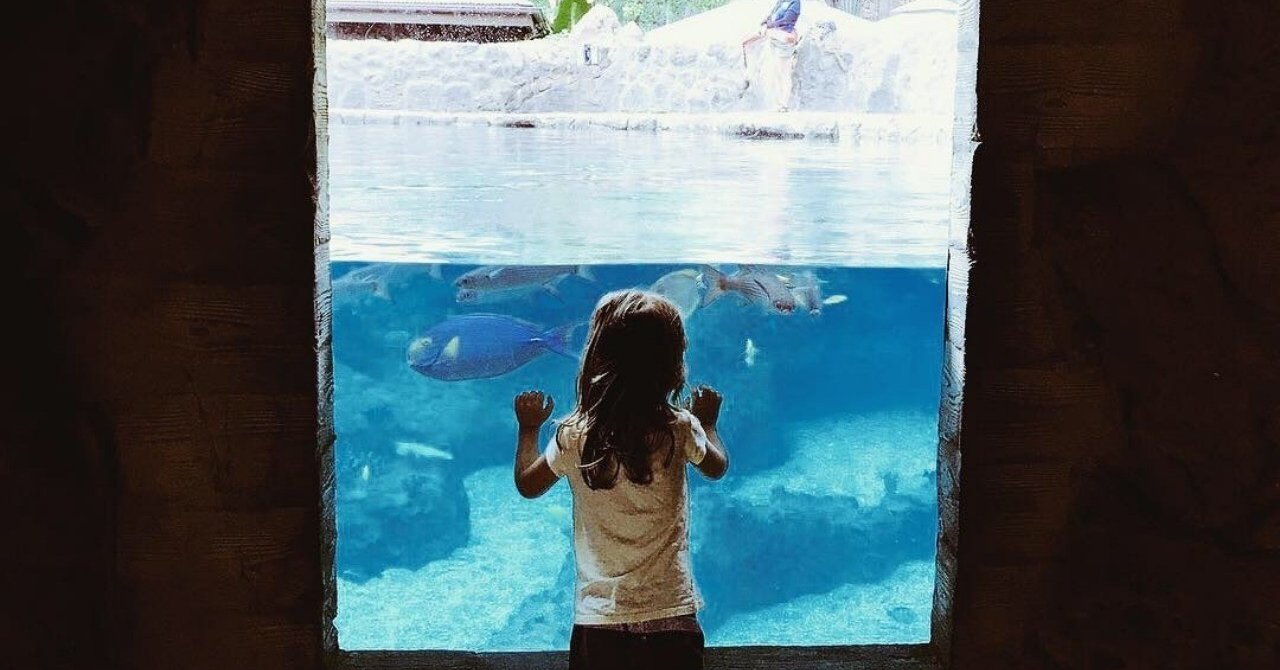 ハワイにある アウラニディズニーが美しくて最高だった 夏生さえり Note